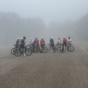 Començant la tardor