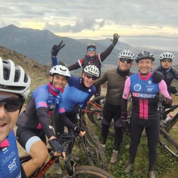 Darreres sortides de l’any