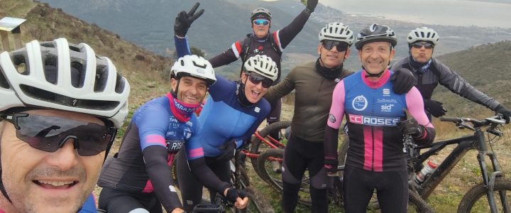 Darreres sortides de l’any